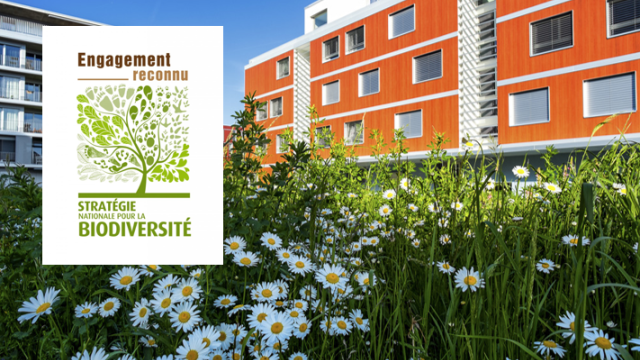 Eikenott Biodiversité