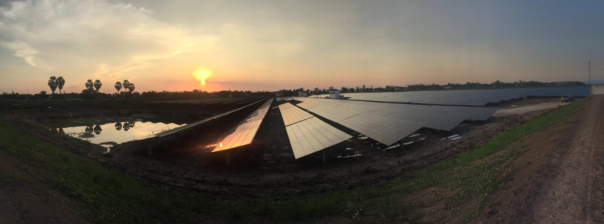 Vaste panorama d'un parc solaire au coucher du soleil, avec des panneaux reflétant le ciel doré et des palmiers.