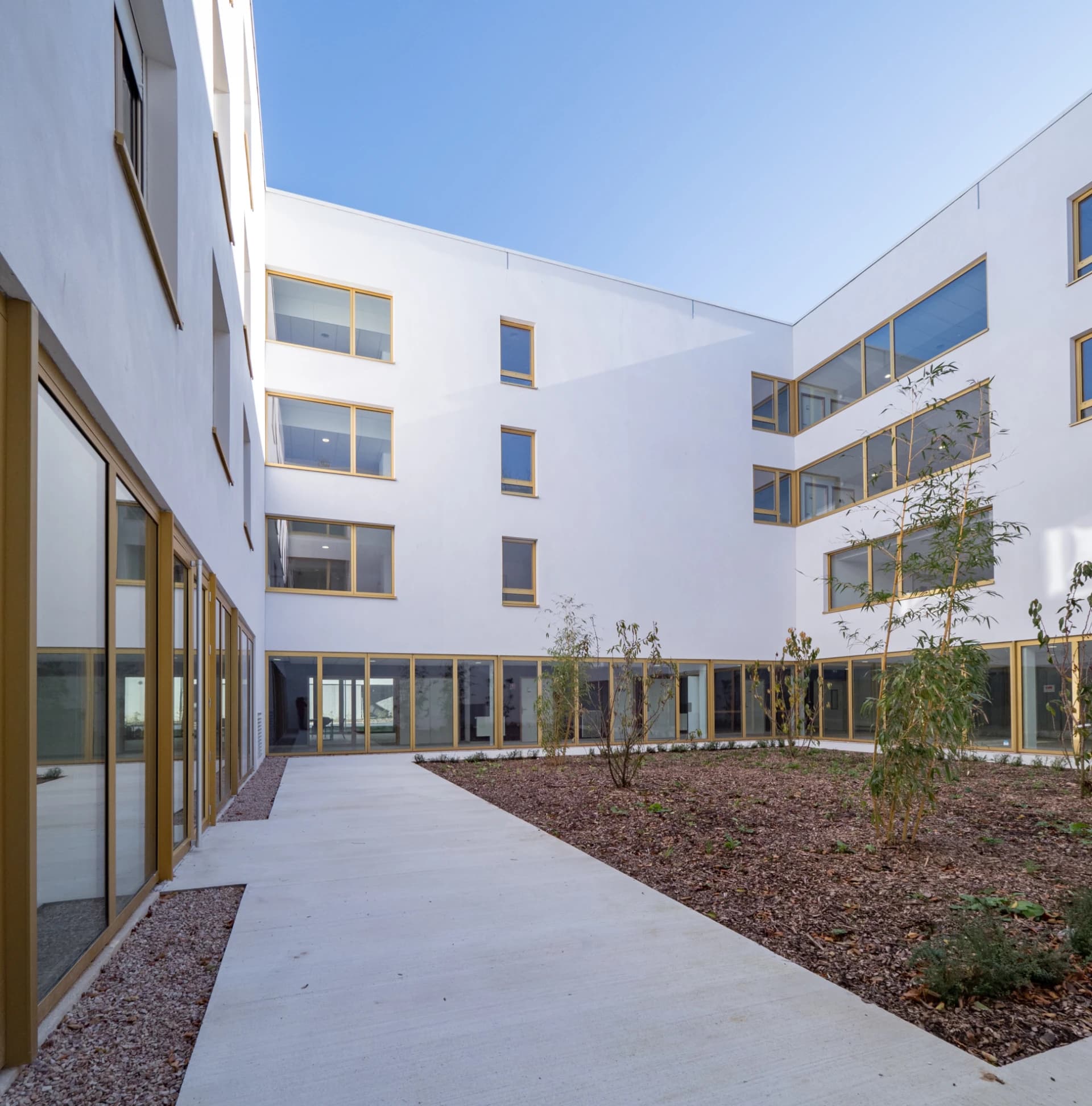 Un patio moderne et lumineux avec des façades blanches immaculées et des fenêtres à cadres dorés, entourant un jardin avec de jeunes plantes et des allées en béton clair sous un ciel bleu dégagé.