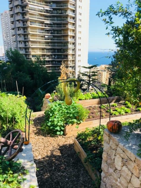 Terre-de-monaco-agriculture-urbaine