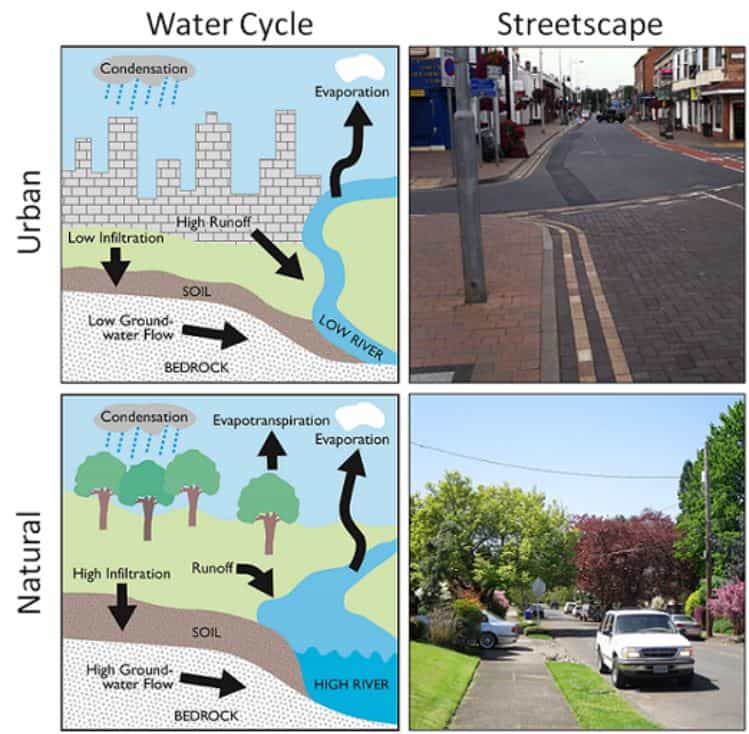 Comparaison des paysages naturels et urbains du cycle de l'eau et des rues dans les villes conventionnelles et bleues-vertes