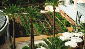 construction-durable-France-bouygues-construction