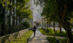 un homme marche dans la ville arborée
