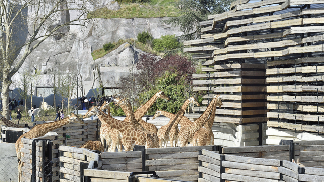 Paris Zoological Park