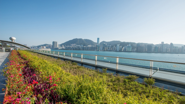 Kai Tak Cruise Terminal Building