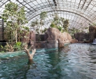 Opening of the Paris zoological park