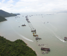 The Hong Kong-Zhuhai-Macao bridge