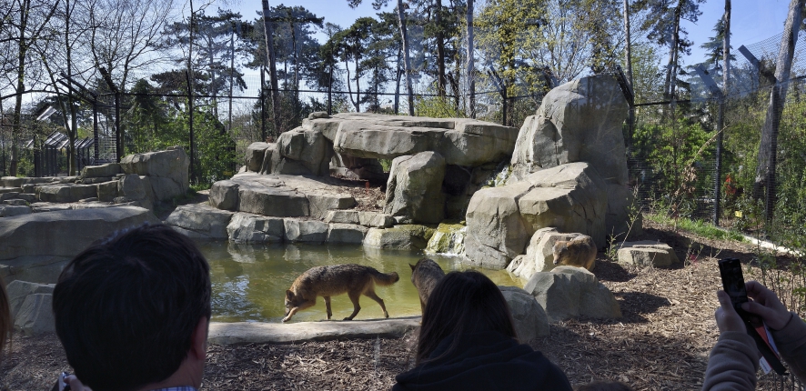 Vincennes Zoo