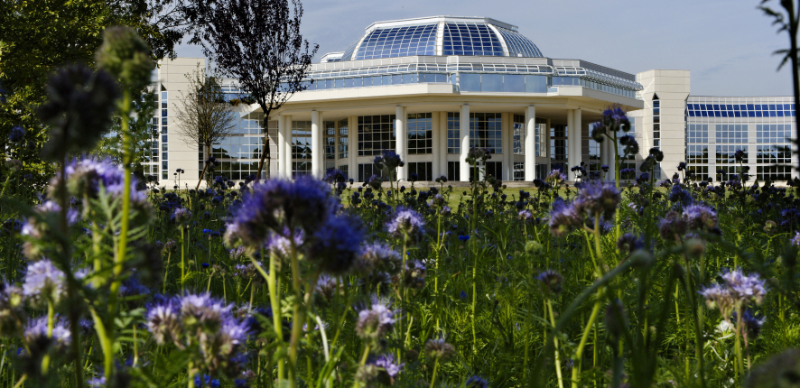 Challenger, notre siège labellisé Ecojardin