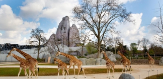 Icade and Bouygues Bâtiment Ile-de-France hand over the Paris Zoological Park